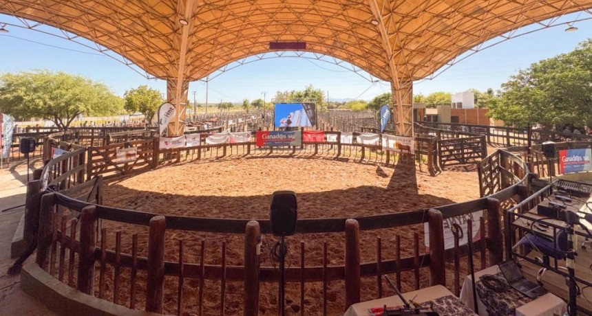 El 4to Remate de Cabañas amplió su alcance regional y reafirmó su apuesta al crecimiento 